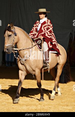 Donna argentina in abito tradizionale a cavallo di un cavallo di criollo buckskin