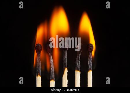 Un primo piano di cinque fiammiferi brucianti Foto Stock