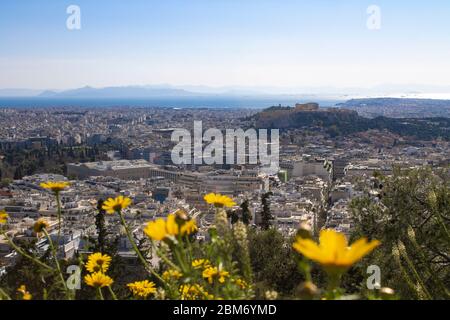 Vista del tempio del Partenone dell'Acropoli attraverso fiori gialli dalla cima ad Atene, Grecia. Foto Stock