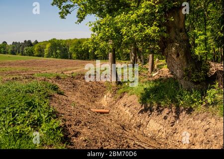 Fossato di drenaggio vicino alberi a bordo di campo. Foto Stock