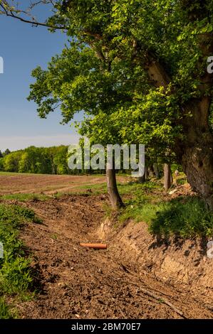 Fossato di drenaggio vicino alberi a bordo di campo. Foto Stock