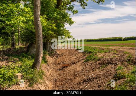 Fossato di drenaggio vicino alberi a bordo di campo. Foto Stock