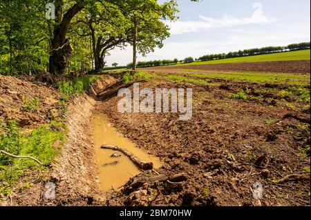 Fossato di drenaggio vicino alberi a bordo di campo. Foto Stock