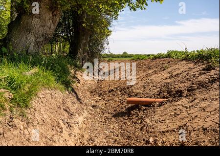 Fossato di drenaggio vicino alberi a bordo di campo. Foto Stock