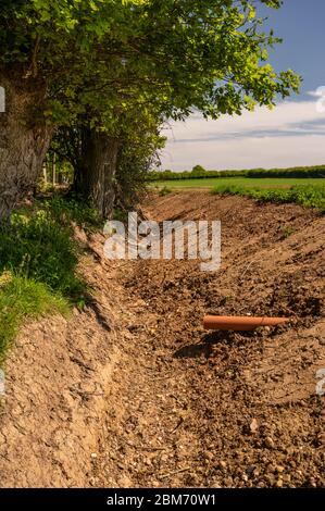 Fossato di drenaggio vicino alberi a bordo di campo. Foto Stock