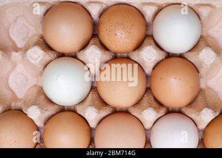Vassoio di cartone con uova di galline multicolore e diversi spazi in scatola Foto Stock