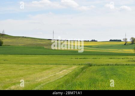 Ampio paesaggio Eifel in primavera Foto Stock