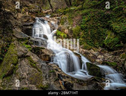 Le lussureggianti cascate di Frey Creek sul sentiero di Feather Falls Loop, Oroville, California, Stati Uniti Foto Stock