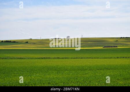 Ampio paesaggio Eifel in primavera Foto Stock