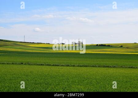 Ampio paesaggio Eifel in primavera Foto Stock