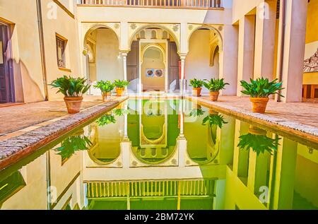 GRANADA, SPAGNA - 25 SETTEMBRE 2019: L'edificio medievale della Casa de Zafra araba si riflette sulla superficie dello stagno nel suo giardino, il 25 settembre Foto Stock