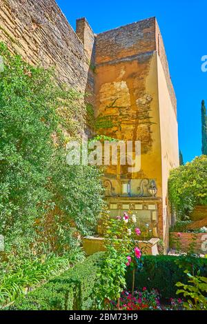 Il verde lussureggiante del giardino di Adarves (bastioni) nasconde la vecchia fontana dei delfini, attaccata alle pareti di Alcazaba, Alhambra, Granada, Spagna Foto Stock