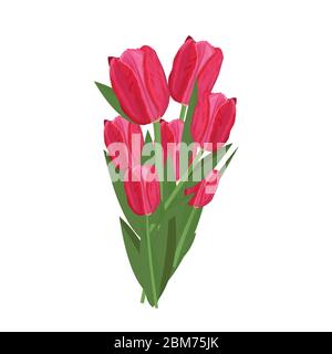 Bouquet disegnato a mano di tulipani rosa e rosso isolato illustrazione vettoriale Illustrazione Vettoriale