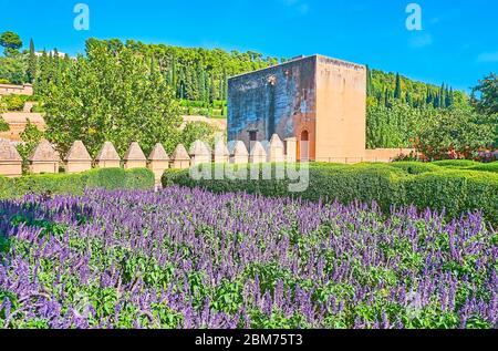 Il panoramico giardino dell'Alhambra con cespugli topiari e aiuole di salvia ultramoleta si estende lungo i bastioni e le torri della vecchia fortezza, G. Foto Stock