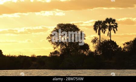 Questa foto è stata scattata nel fiume Zambesi, Zimbabwe Foto Stock