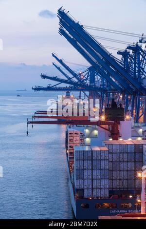 Una nave container è caricata nel porto principale di Manzanillo International Port a Colon City, lato caraibico di Panama, America Centrale Foto Stock