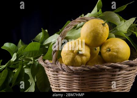 limoni organici maturi su canestro di canna Foto Stock