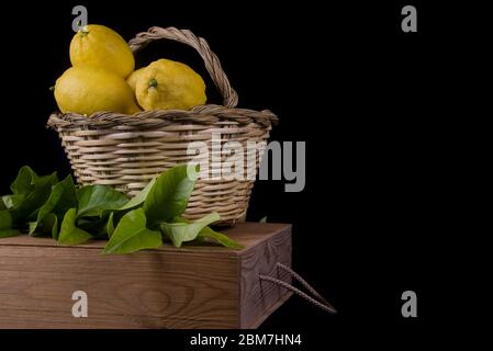 limoni organici maturi su canestro di canna Foto Stock