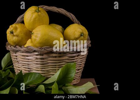 limoni organici maturi su canestro di canna Foto Stock