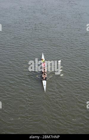 una femmina senza coxless quattro sul fiume tamigi, visto dal ponte barnes, a sud-ovest di londra, inghilterra Foto Stock