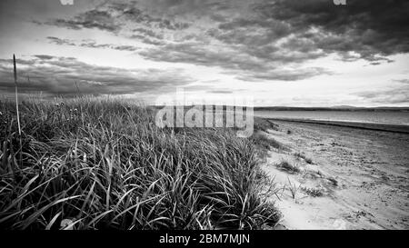 Dune di sabbia in tempo tempestoso, vento soffiando erba.paesaggio drammatico, vista della spiaggia scozzese in inverno. Monocromatico, costiero, Scozia, Foto Stock