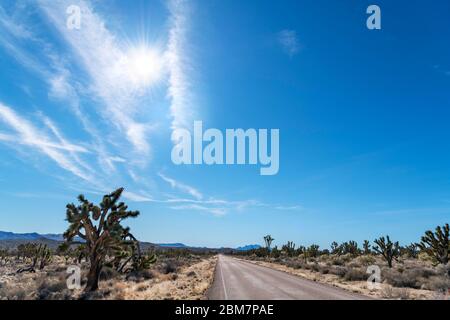 Morning Star Mine Rd nella Riserva Nazionale di Mojave, deserto di Mojave, California, Stati Uniti Foto Stock