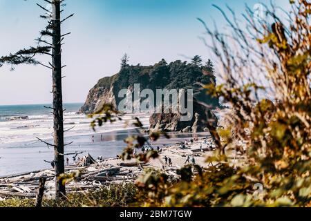 Paesaggio a Rialto Beach Washington Foto Stock