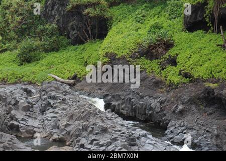 Il torrente Palikea attraversa la roccia vulcanica con la Taccada di Scaevola e gli alberi tropicali che crescono sulla roccia al Gulch di Oheo a Hana, Maui, Hawaii, USA Foto Stock
