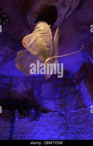 Grotta di sale a Iwonicz-Zdroj. Polonia Foto Stock