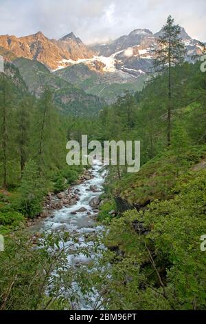 Alba sulle vette del Monte Rosa Foto Stock