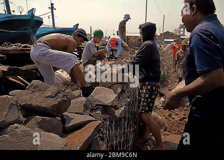 Residenti del villaggio Muara Baru nella zona costiera di Jakarta che lavorano insieme nella costruzione di una struttura di parete marina. Muara Baru, Penjaringan, Nord Jakarta, Indonesia. Foto di archivio. Foto Stock