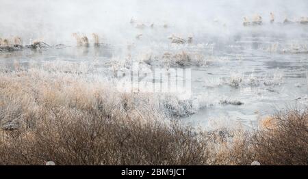 Alberi e canne sono ricoperti di neve, e il fiume ha nebbia d'acqua. Fiume Soyang, Chuncheon City, Corea Foto Stock