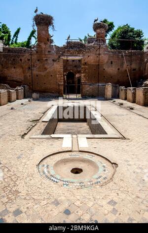 Il pavimento piastrellato e la piscina di un edificio romano rovina presso il sito di Chellah (Sala Romana Colonia) a Rabat in Marocco. Foto Stock