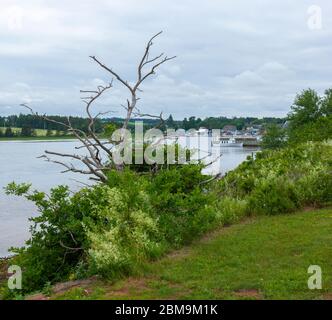 Vista sul porto Nord rustico, con barca da pesca ancorata alla banchina. Isola del Principe Edoardo, Canada Foto Stock