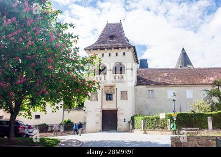 Maissau: Castello di Burg Maissau, a Weinviertel, Niederösterreich, bassa Austria, Austria Foto Stock