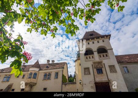 Maissau: Castello di Burg Maissau, a Weinviertel, Niederösterreich, bassa Austria, Austria Foto Stock