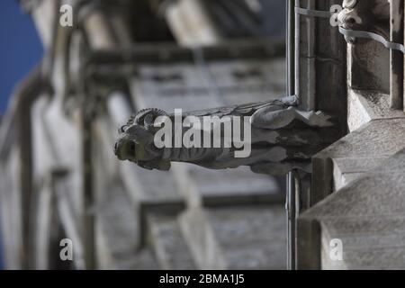 Lavori in pietra sulla Cattedrale di San fin Barres Cork Foto Stock