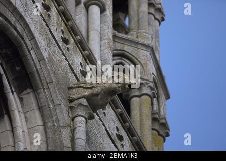 Lavori in pietra sulla Cattedrale di San fin Barres Cork Foto Stock