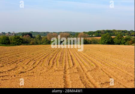 Vista su terreni coltivabili tagliati verso la valle di Wensum a Hellesdon, Norfolk, Inghilterra, Regno Unito, Europa. Foto Stock