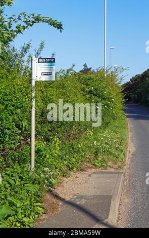 Una fermata dell'autobus che fornisce servizi di viaggio sulla strada A1067 a Hellesdon, Norfolk, Inghilterra, Regno Unito, Europa. Foto Stock