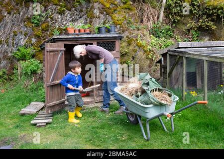 Bambino piccolo ragazzo che aiuta nonna nonna donna prendere concime fuori Di gallina casa di pulizia pollo capannone sulla piccola azienda in Galles REGNO UNITO KATHY DEWITT Foto Stock