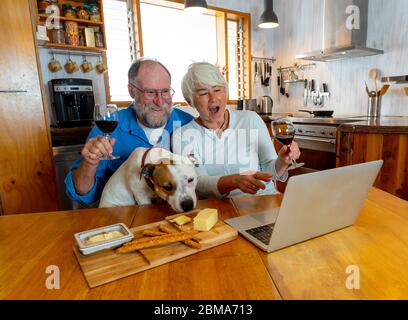 COVID-19 resta connesso. Buon giovane coppia con cane da compagnia e vino video chiamare amici su laptop o on line chattare con la famiglia che celebra il easing o Foto Stock