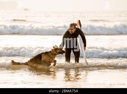 Surfista divertirsi con il miglior amico pastore tedesco correre e giocare sulla spiaggia cani al tramonto. Estate divertente surf vacanza con il vostro cane, animale domestico Foto Stock