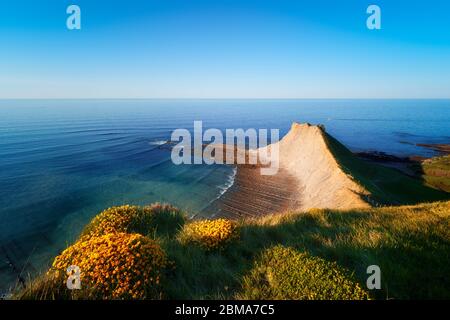 Costa di Zumaia in Gipuzkoa Foto Stock