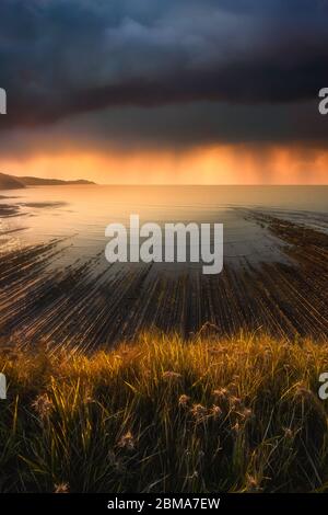 Sakoneta beach a Zumaia con flysch Foto Stock