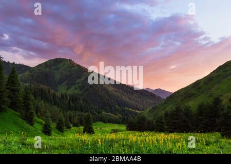 Tramonto colorato in montagna in estate. Montagne Tien Shan. Kazakistan Foto Stock