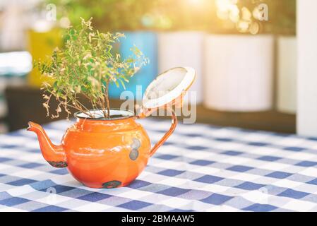 Vecchio teapot riutilizzato come vaso per bouquet su tavola, luce calda del tramonto su background.Cosy design ristorante, caffè casa, o posteriore yard.Reused ideas.Second-hand bollitore trasformare in vasi di fiori giardino. Foto Stock