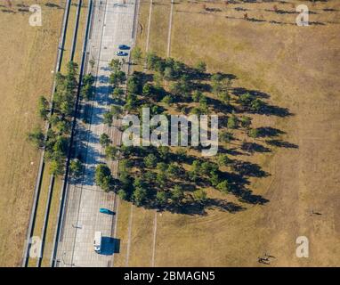 , gruppo di alberi nella zona commerciale di Phoenix West, 15.02.2017, vista aerea, Germania, Renania settentrionale-Vestfalia, Ruhr Area, Dortmund Foto Stock