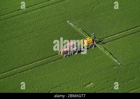 , uso di erbicida su un campo di mais in primavera, 11.05.2017, vista aerea, Germania, Renania settentrionale-Vestfalia, Anroechte Foto Stock