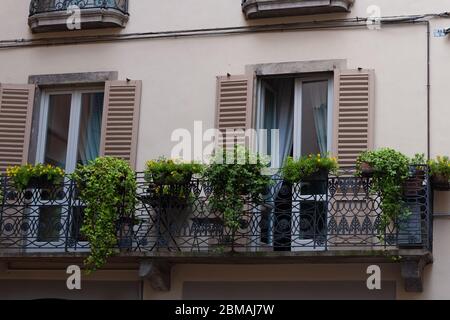 Balcone verde di pianta nella città di Bergamo. Tipico balcone decorativo nella Città Vecchia. Viaggi. Foto Stock